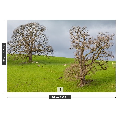 Papel de parede Cervo