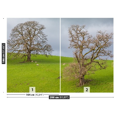 Papel de parede Cervo