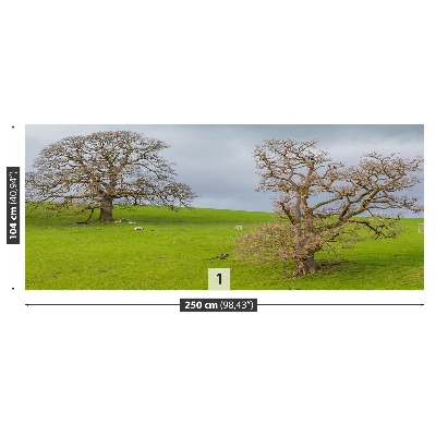 Papel de parede Cervo