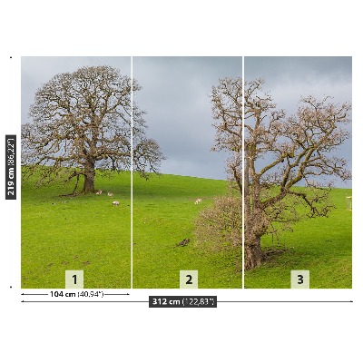 Papel de parede Cervo