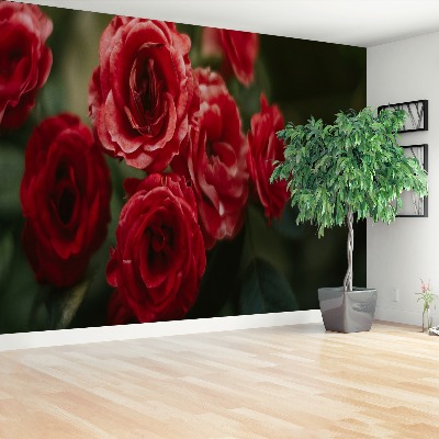 Papel de parede Rosas Vintage