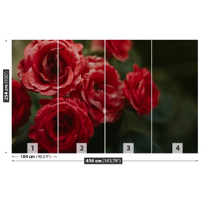 Papel de parede Rosas Vintage