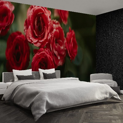 Papel de parede Rosas Vintage