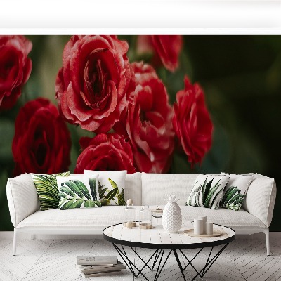 Papel de parede Rosas Vintage