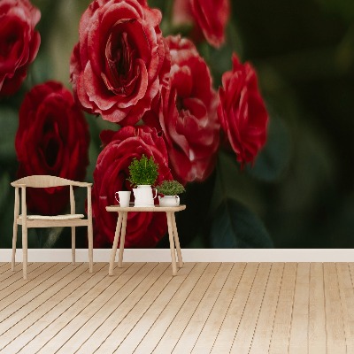 Papel de parede Rosas Vintage