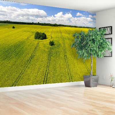 Mural de parede Campo de colza