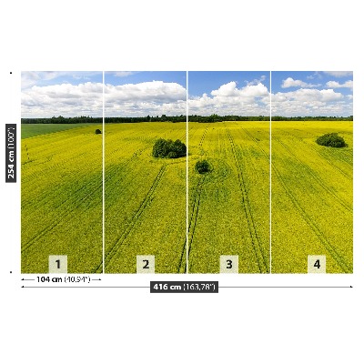 Mural de parede Campo de colza