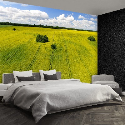 Mural de parede Campo de colza