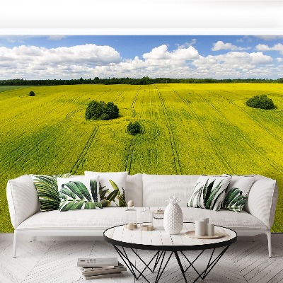 Mural de parede Campo de colza