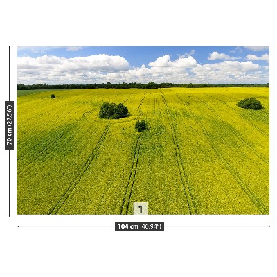 Mural de parede Campo de colza
