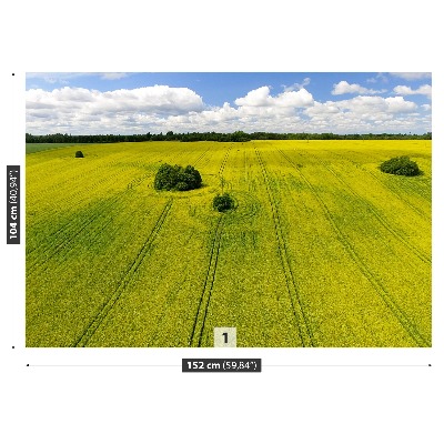 Mural de parede Campo de colza