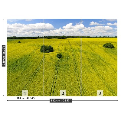 Mural de parede Campo de colza