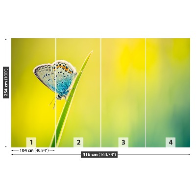 Papel de parede Borboleta