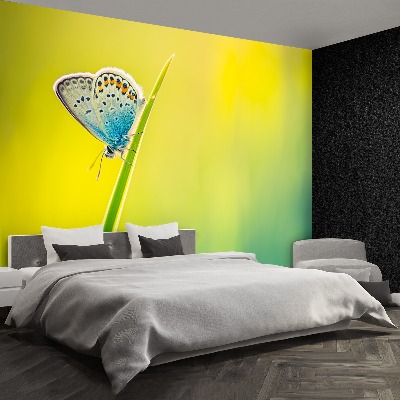 Papel de parede Borboleta