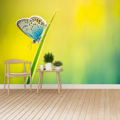 Papel de parede Borboleta