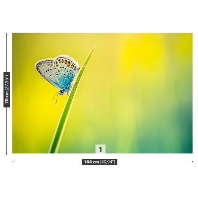 Papel de parede Borboleta