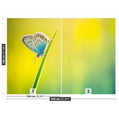 Papel de parede Borboleta