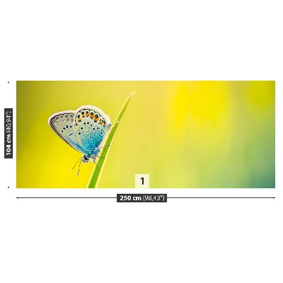 Papel de parede Borboleta