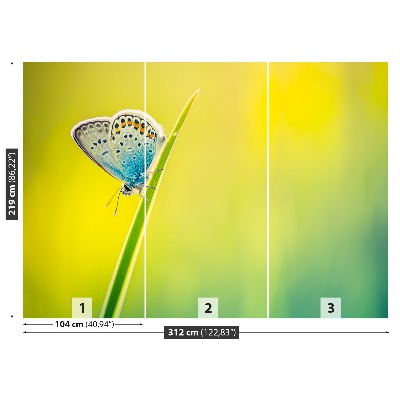 Papel de parede Borboleta