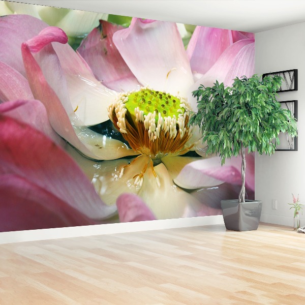 Papel de parede Flor de lótus