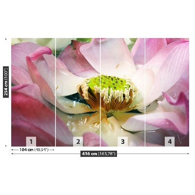 Papel de parede Flor de lótus