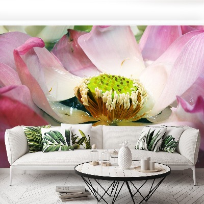 Papel de parede Flor de lótus