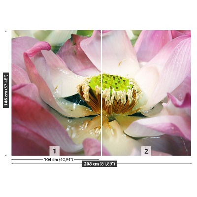 Papel de parede Flor de lótus