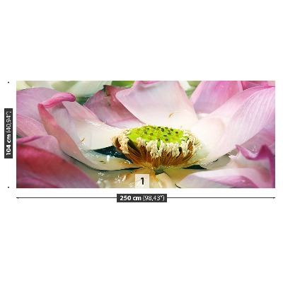 Papel de parede Flor de lótus