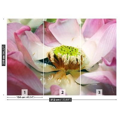 Papel de parede Flor de lótus