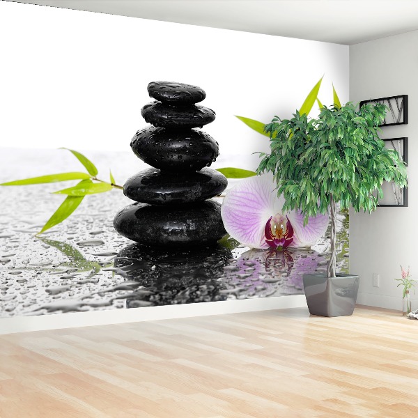 Papel de parede Pedras e Orquídea