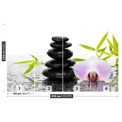 Papel de parede Pedras e Orquídea