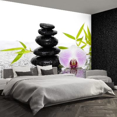 Papel de parede Pedras e Orquídea