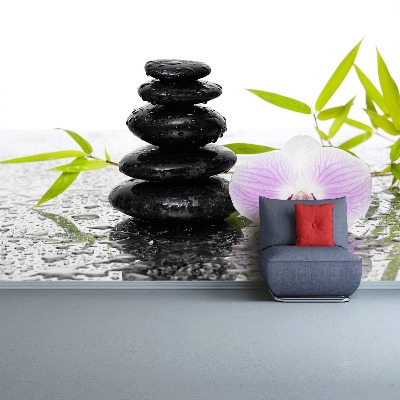 Papel de parede Pedras e Orquídea