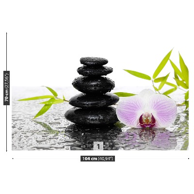 Papel de parede Pedras e Orquídea