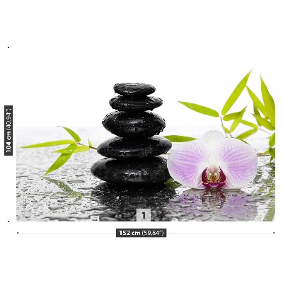 Papel de parede Pedras e Orquídea