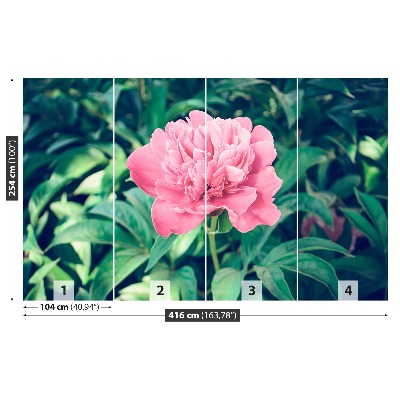 Mural de parede Peônias rosas