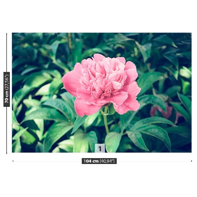 Mural de parede Peônias rosas