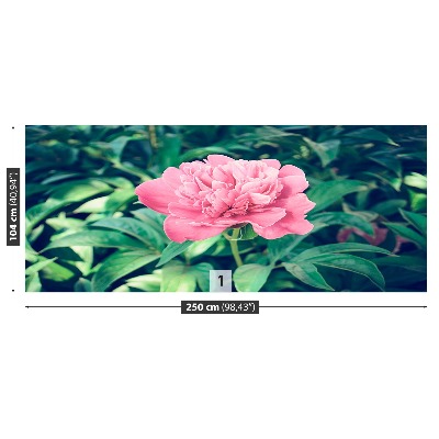 Mural de parede Peônias rosas