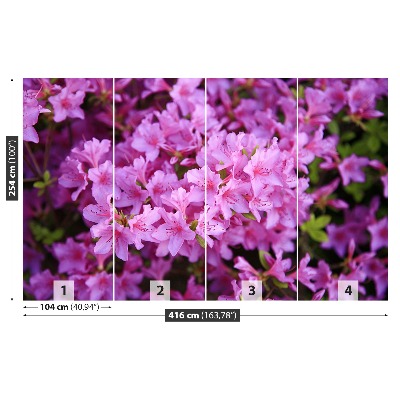 Papel de parede Rododendro rosa