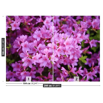 Papel de parede Rododendro rosa