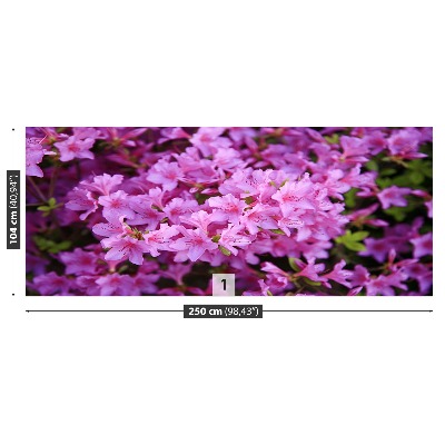 Papel de parede Rododendro rosa