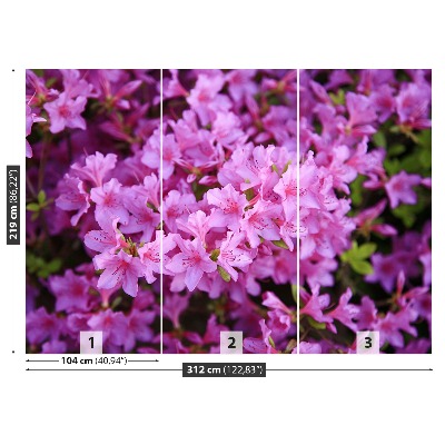 Papel de parede Rododendro rosa