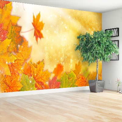 Papel de parede Folhas de Outono