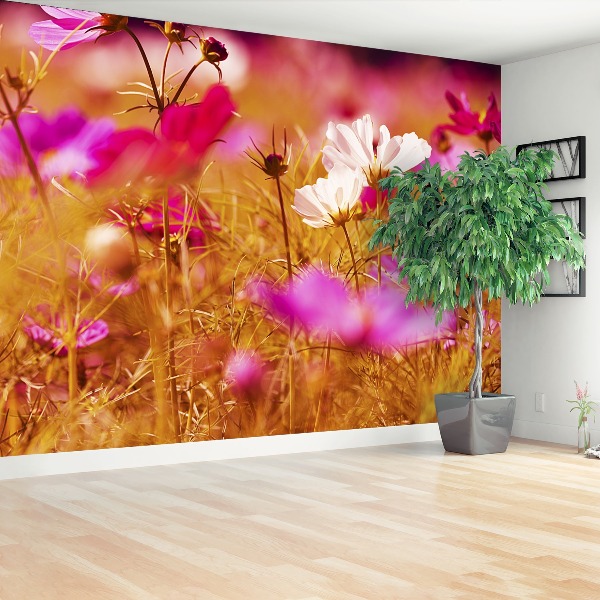 Papel de parede Flor Cosmos