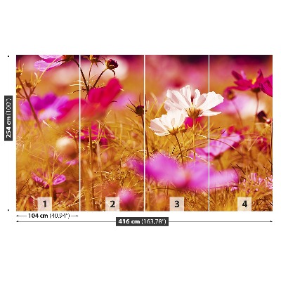 Papel de parede Flor Cosmos