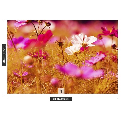 Papel de parede Flor Cosmos