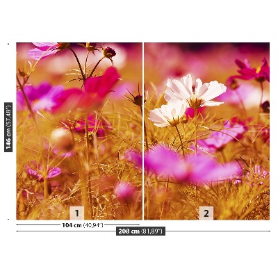 Papel de parede Flor Cosmos