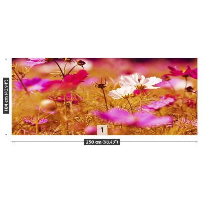 Papel de parede Flor Cosmos