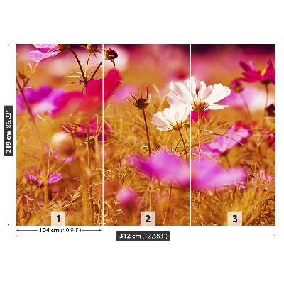Papel de parede Flor Cosmos