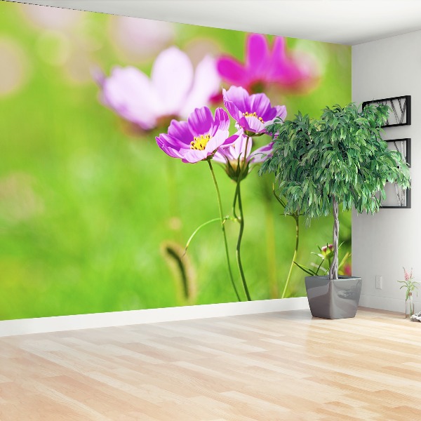 Mural de parede Cosmos Roxo